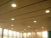 CEIP BELLVEI (3)